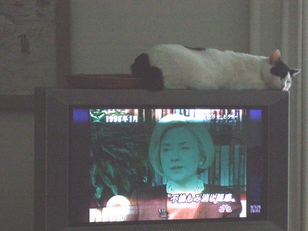 f:id:gonbey:20080203111812j:image f:id:gonbey:20080203111812j:image