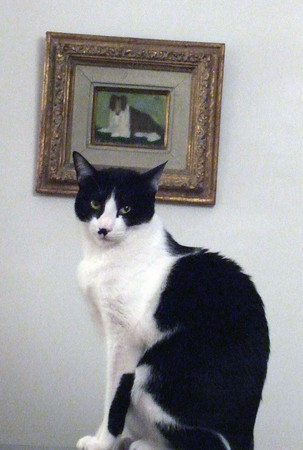 f:id:gonbey:20080203220937j:image