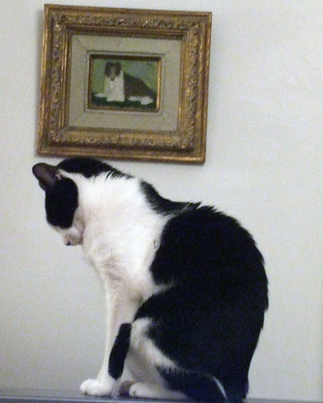 f:id:gonbey:20080203221013j:image:right