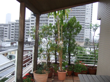 f:id:gonbey:20080622172037j:image