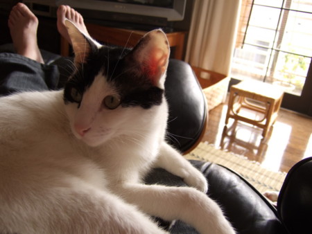 f:id:gonbey:20080927121626j:image