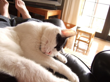 f:id:gonbey:20080927121647j:image