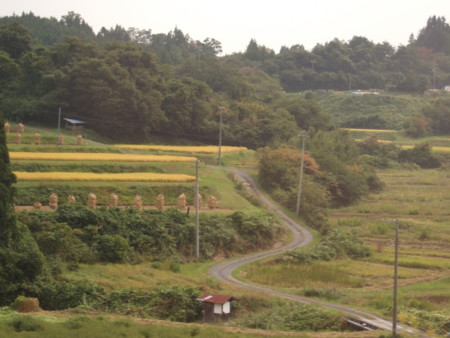f:id:gonbey:20081004120421j:image