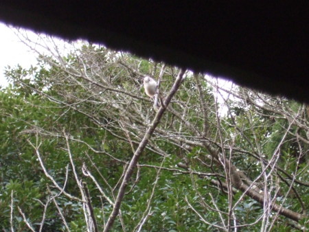 f:id:gonbey:20081012074548j:image f:id:gonbey:20081012074548j:image