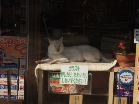 f:id:gonbey:20081212110013j:image