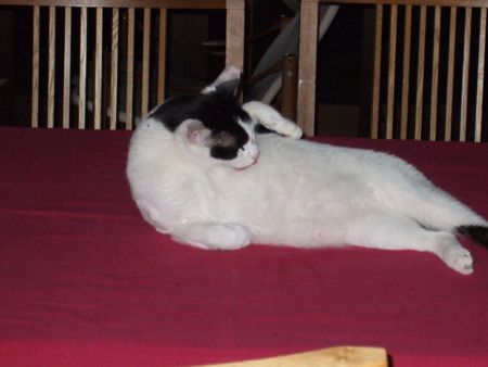 f:id:gonbey:20090328181959j:image