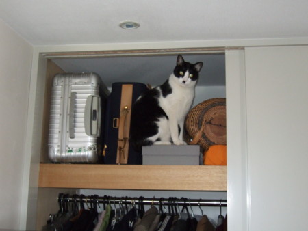 f:id:gonbey:20090330075640j:image