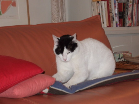 f:id:gonbey:20090404222434j:image