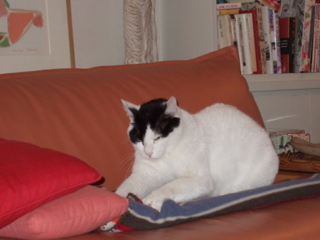 f:id:gonbey:20090404222440j:image