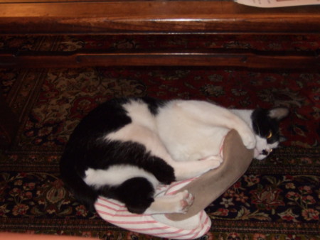 f:id:gonbey:20090404224313j:image