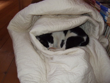 f:id:gonbey:20090419093627j:image