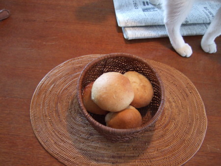 f:id:gonbey:20090423071055j:image
