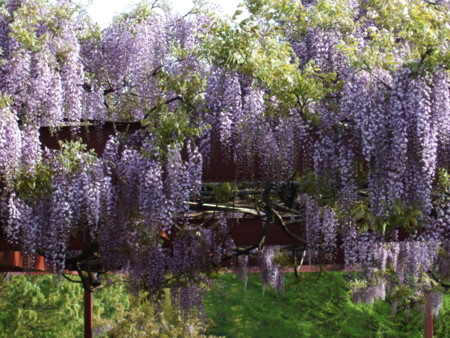 f:id:gonbey:20090426072845j:image