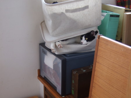 f:id:gonbey:20090613082731j:image