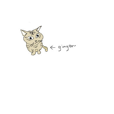 f:id:gonbey:20090629162305j:image