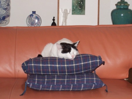 f:id:gonbey:20090807213356j:image