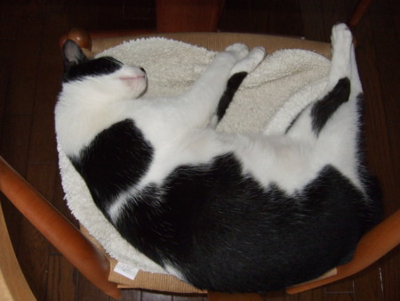 f:id:gonbey:20090829164452j:image