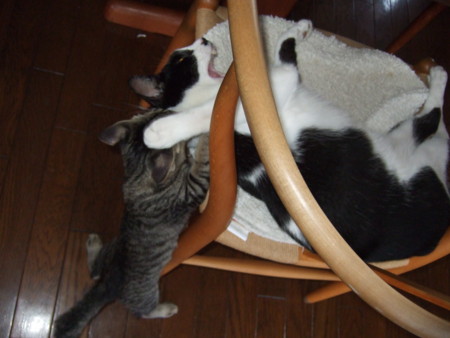 f:id:gonbey:20090829164525j:image