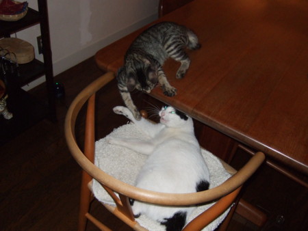f:id:gonbey:20090908200615j:image