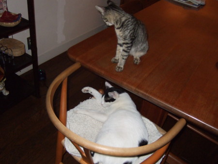 f:id:gonbey:20090908200620j:image