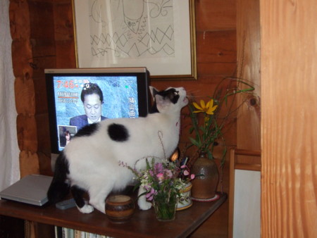 f:id:gonbey:20090923073439j:image