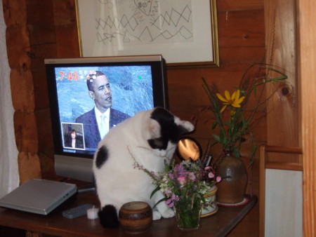 f:id:gonbey:20090923073517j:image