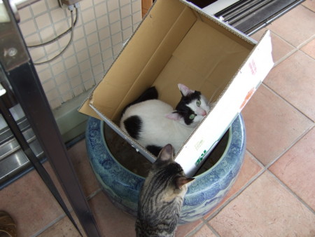 f:id:gonbey:20090923123125j:image