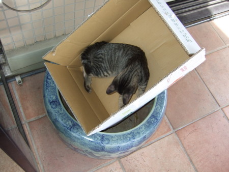 f:id:gonbey:20090923123257j:image