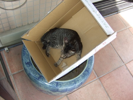 f:id:gonbey:20090923123303j:image