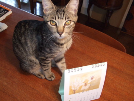 f:id:gonbey:20091005072848j:image