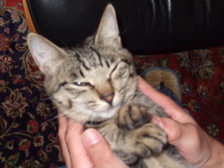 f:id:gonbey:20091012195716j:image