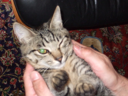 f:id:gonbey:20091012195719j:image