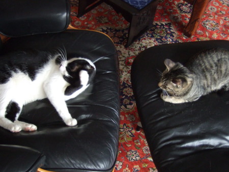 f:id:gonbey:20091025141905j:image