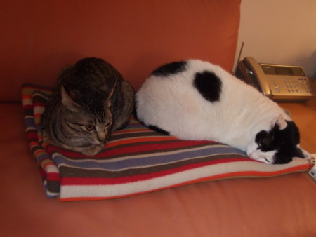 f:id:gonbey:20091227165514j:image