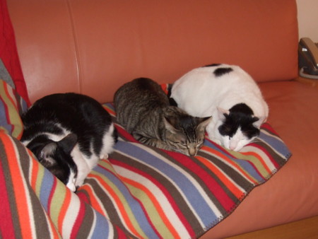 f:id:gonbey:20091230200423j:image