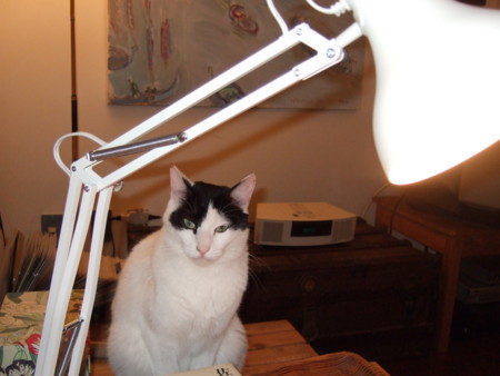 f:id:gonbey:20100101223554j:image