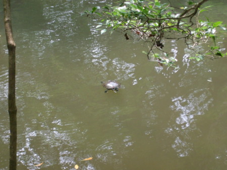 f:id:gonbey:20100702135336j:image