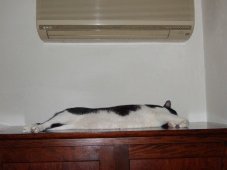 f:id:gonbey:20100724075957j:image