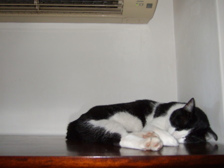 f:id:gonbey:20100804085643j:image