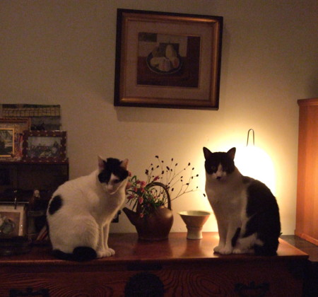 f:id:gonbey:20101031165836j:image