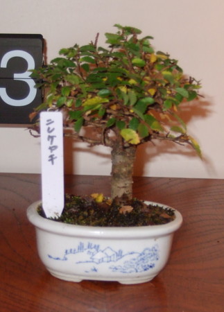 f:id:gonbey:20101114174603j:image
