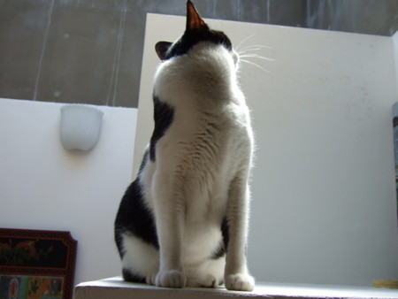 f:id:gonbey:20110420095058j:image