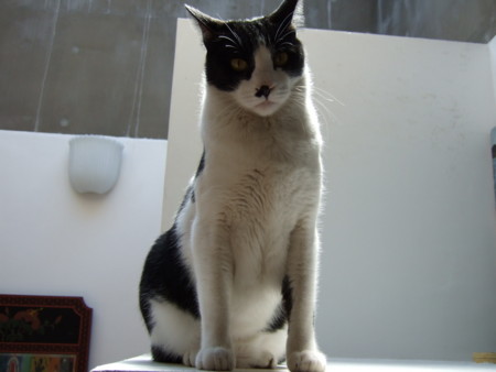 f:id:gonbey:20110420095109j:image