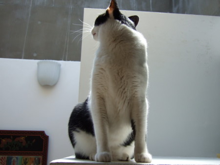 f:id:gonbey:20110420095115j:image