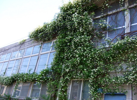 f:id:gonbey:20110508154801j:image:left