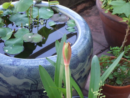 f:id:gonbey:20110606074546j:image