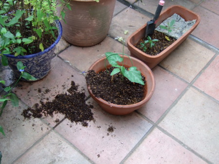 f:id:gonbey:20110618073258j:image