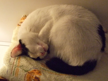 f:id:gonbey:20110925215956j:image f:id:gonbey:20110925215956j:image
