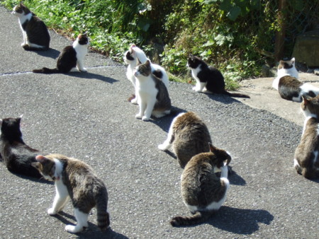 f:id:gonbey:20111109102135j:image