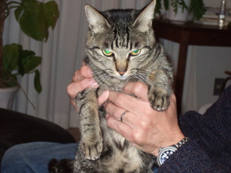 f:id:gonbey:20111225211629j:image